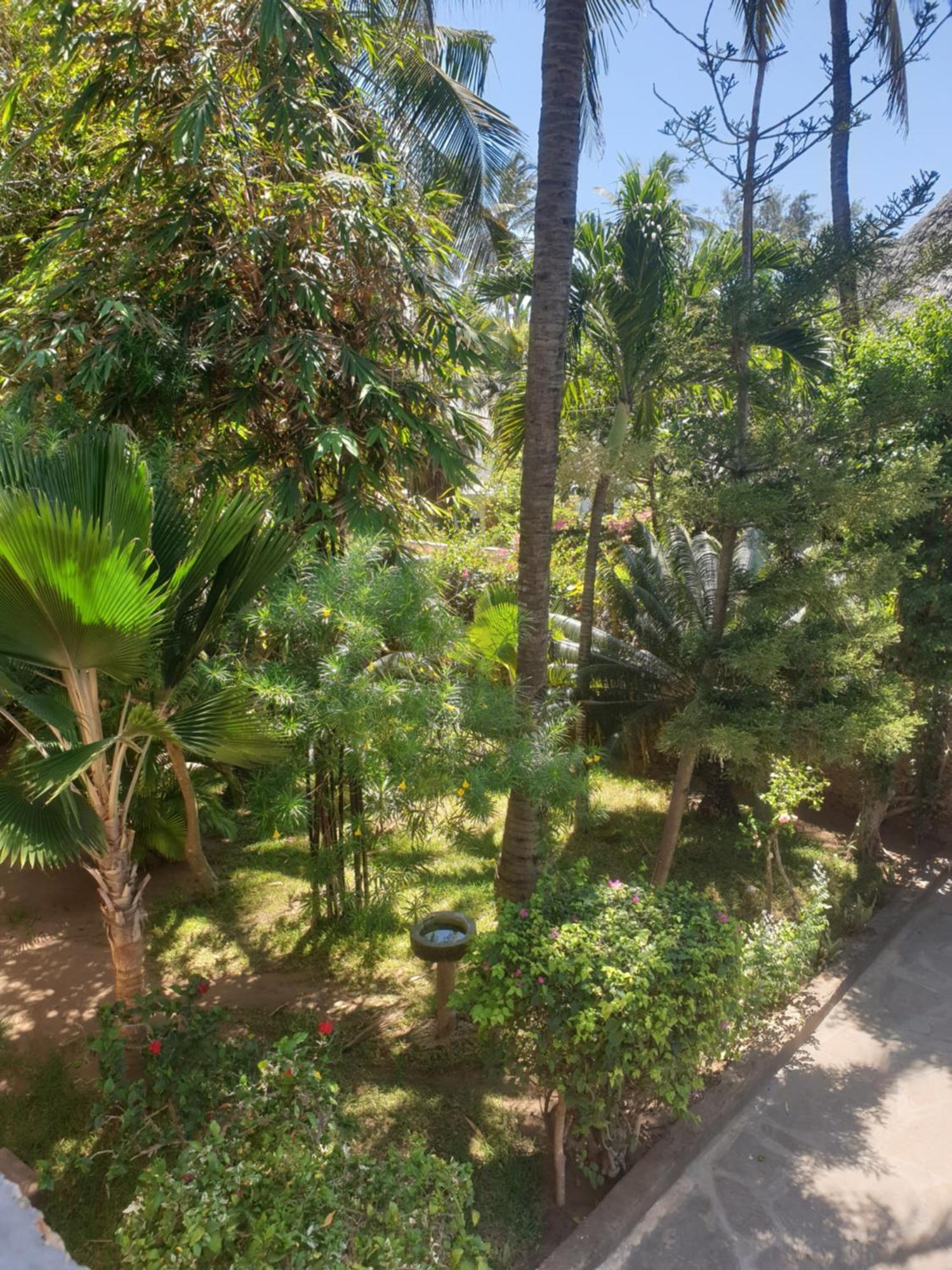 Marijani Holiday Resort Watamu Eksteriør bilde